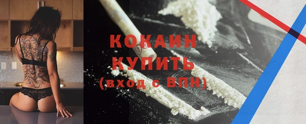 дмт Белокуриха