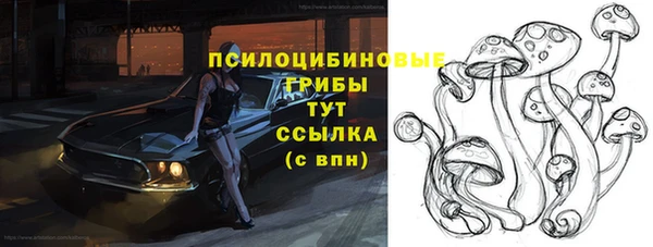 дмт Белокуриха
