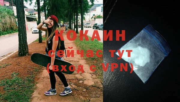 дмт Белокуриха