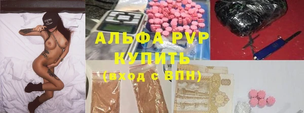 дмт Белокуриха