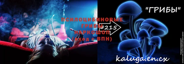 дмт Белокуриха