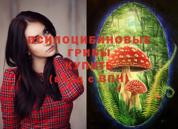 дмт Белокуриха